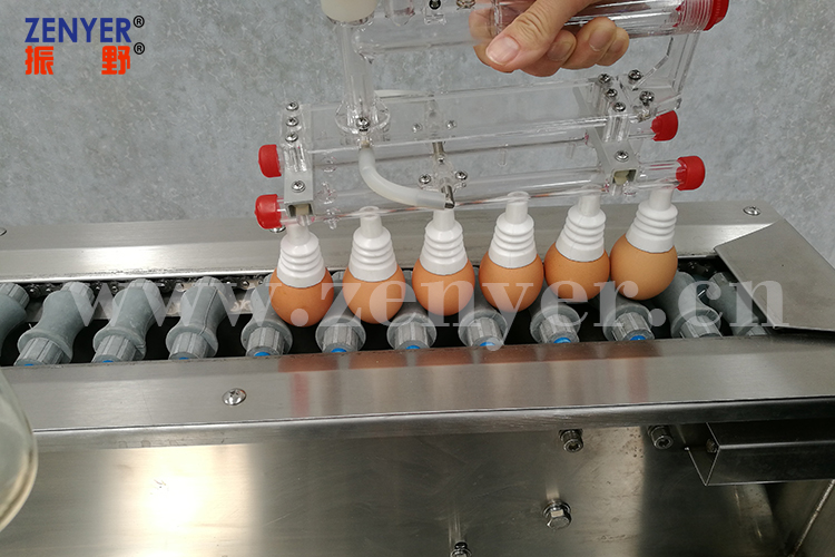 深圳振野全自动洗蛋机厂家直销@小型洗蛋机专