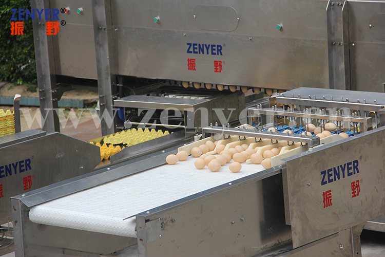 蛋品包装机振野全自动鸡蛋鸭蛋皮蛋自动分级装