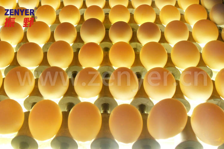 7.光检.jpg 7.光检.jpg