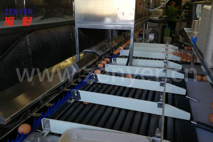 电子分级-3.jpg 电子分级-3.jpg