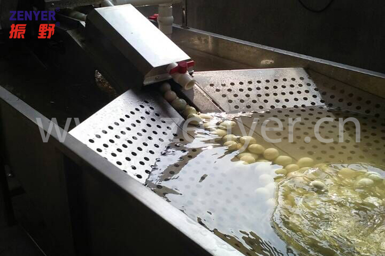 水箱上蛋2.jpg 水箱上蛋2.jpg