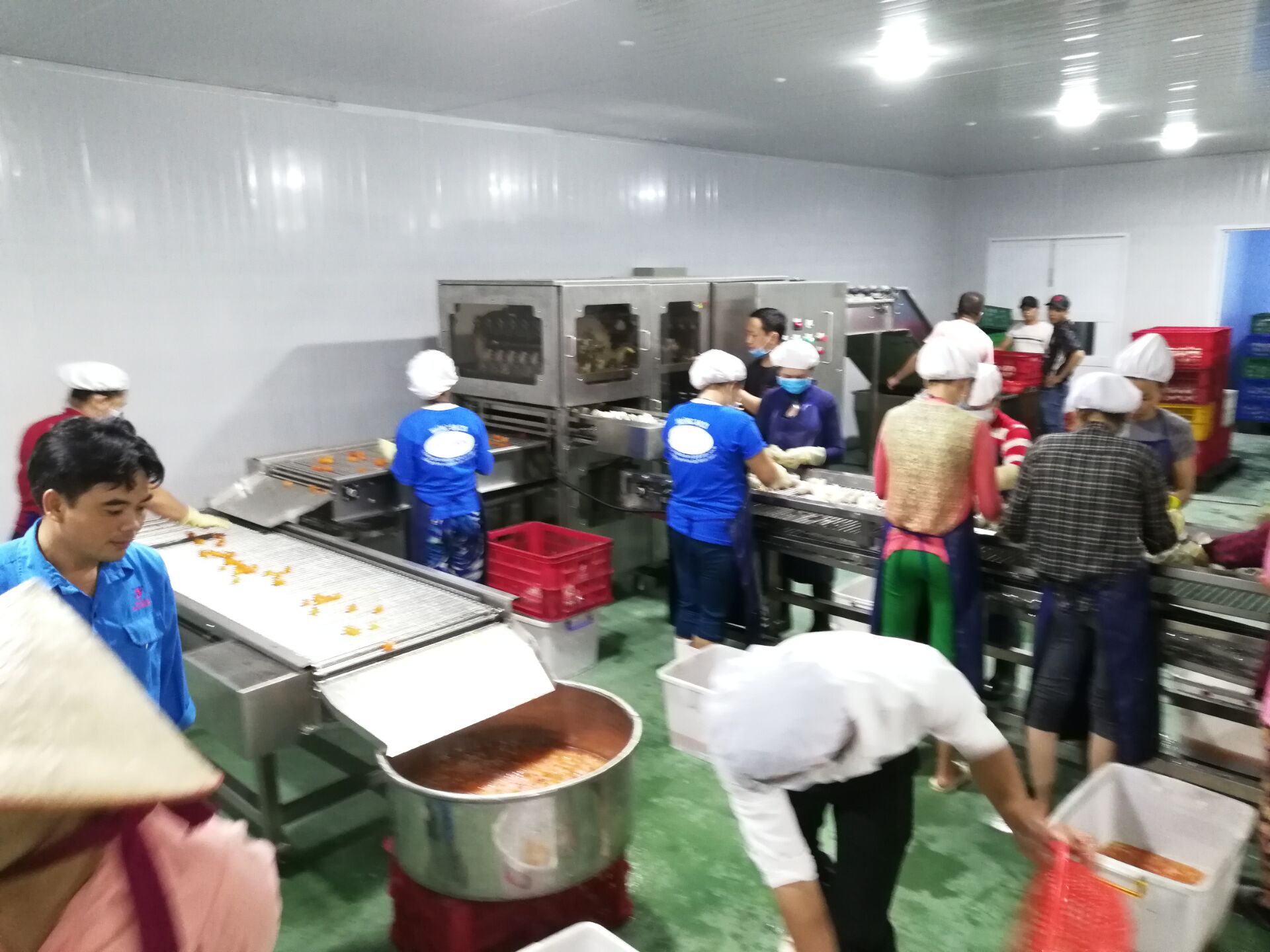 振野蛋黄加工设备在越南 振野蛋黄加工设备在越南