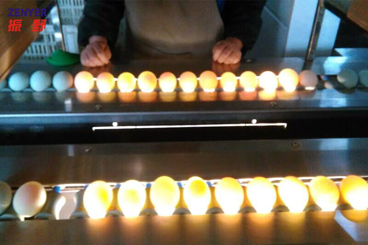 光检 (2).jpg 光检 (2).jpg