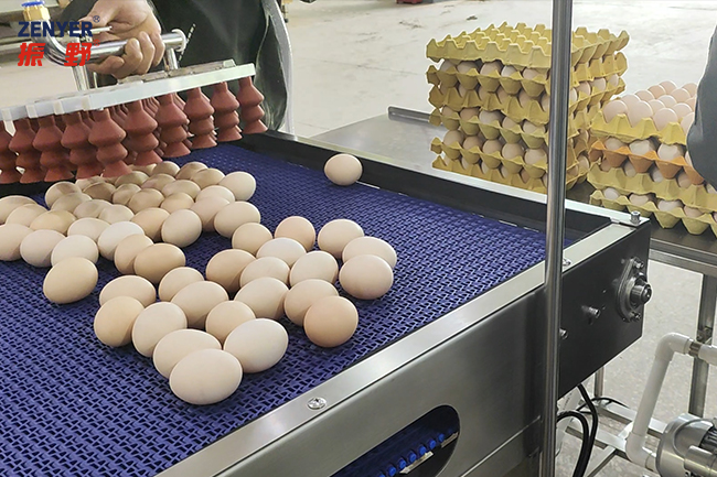 吸盘上蛋 (3).jpg